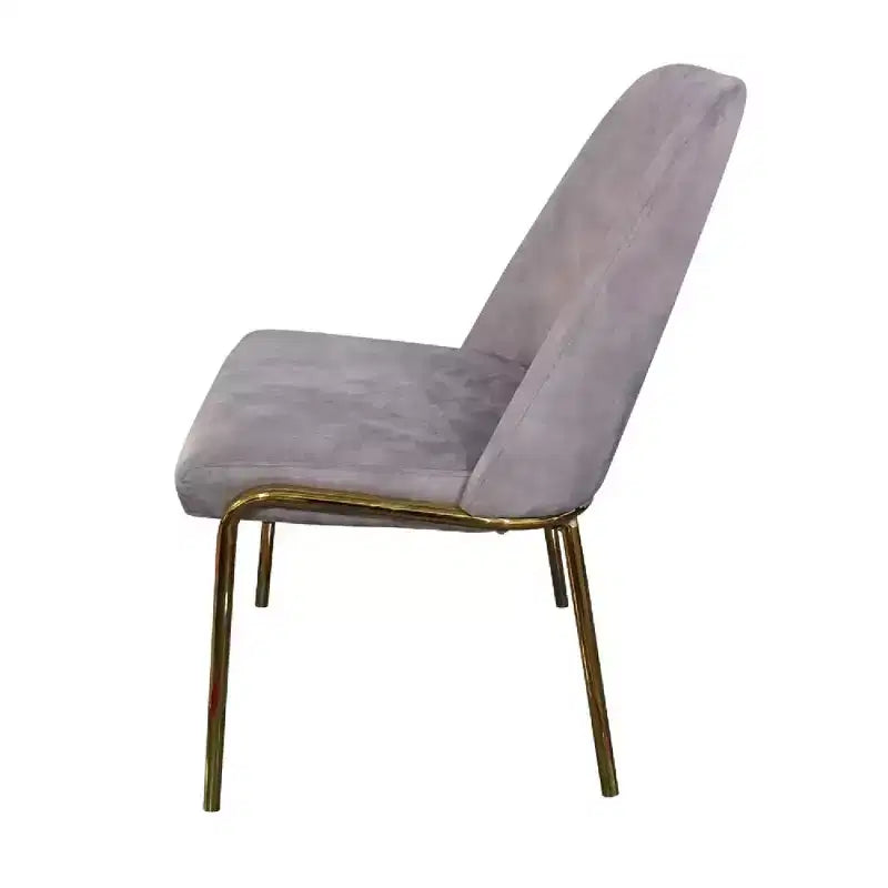 Chaises de salle à manger modernes rembourrées sont ergonomiques et confortables