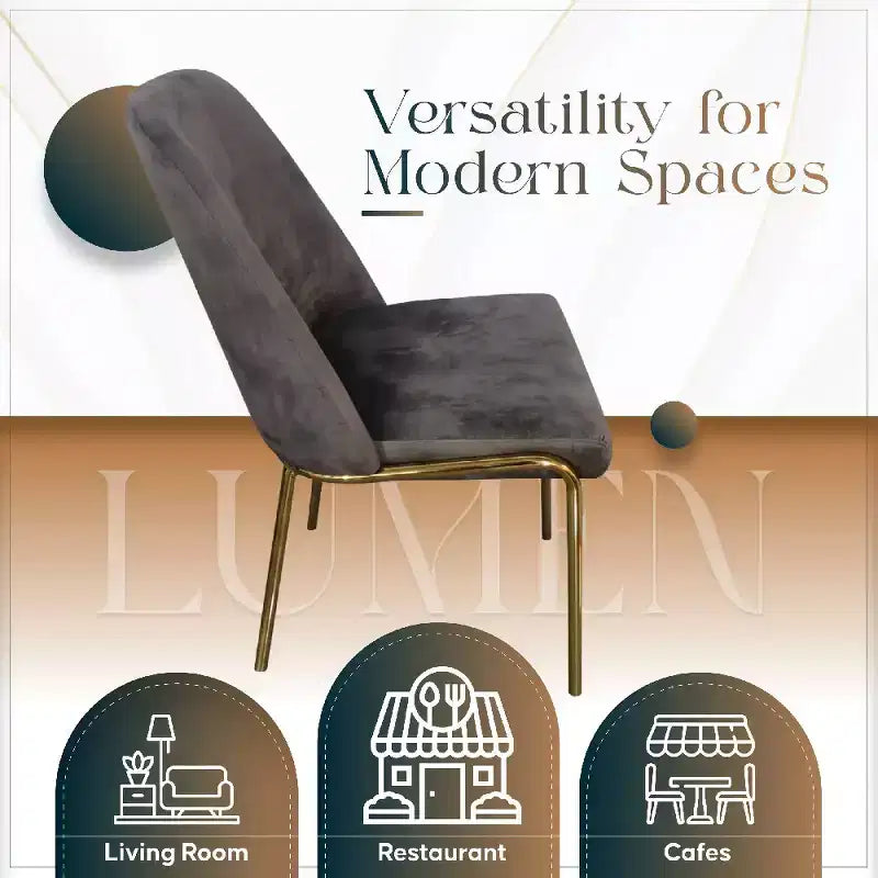 Chaises de salle à manger modernes rembourrées sont ergonomiques et confortables