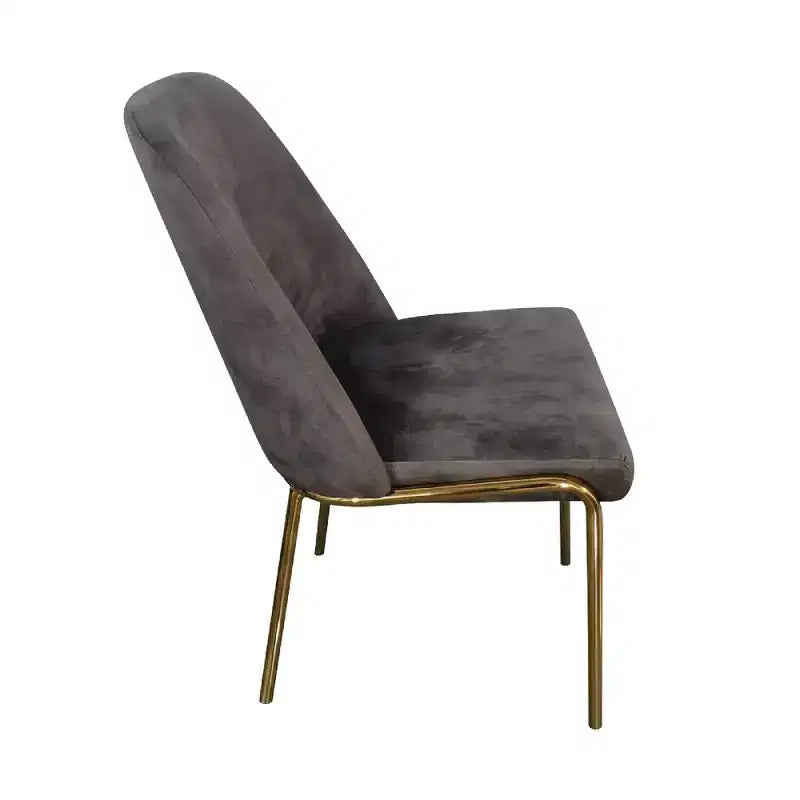 Chaises de salle à manger modernes rembourrées sont ergonomiques et confortables