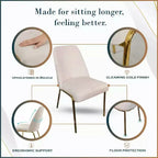 Chaises de salle à manger modernes rembourrées sont ergonomiques et confortables