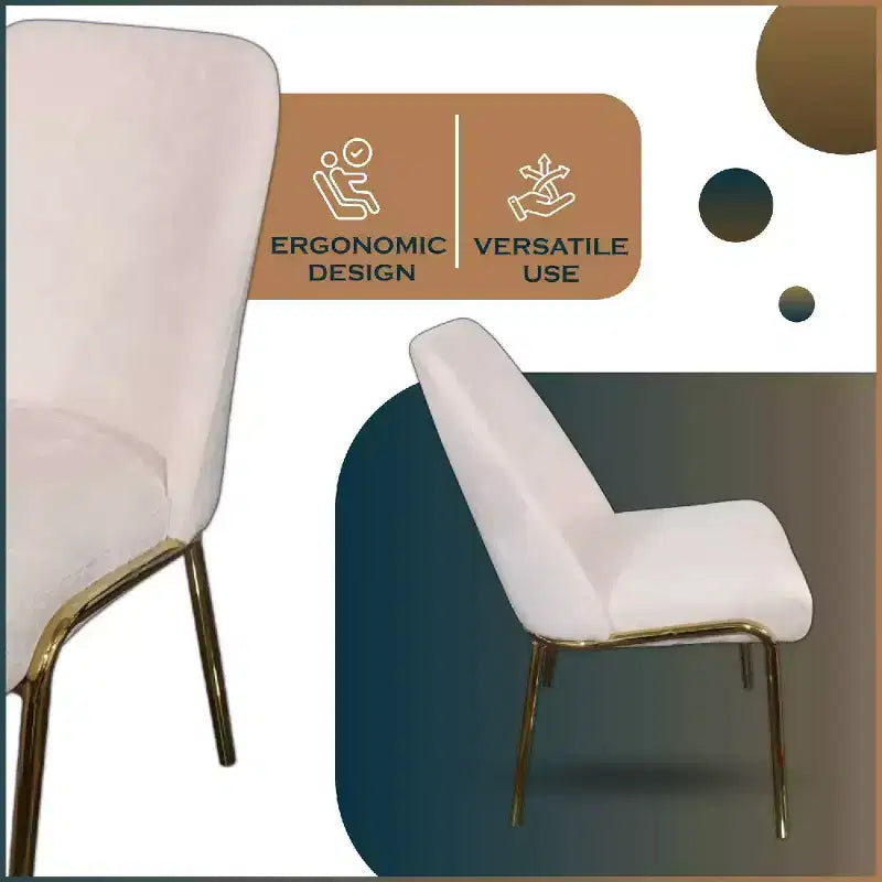 Chaises de salle à manger modernes rembourrées sont ergonomiques et confortables