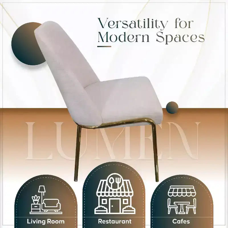 Chaises de salle à manger modernes rembourrées sont ergonomiques et confortables